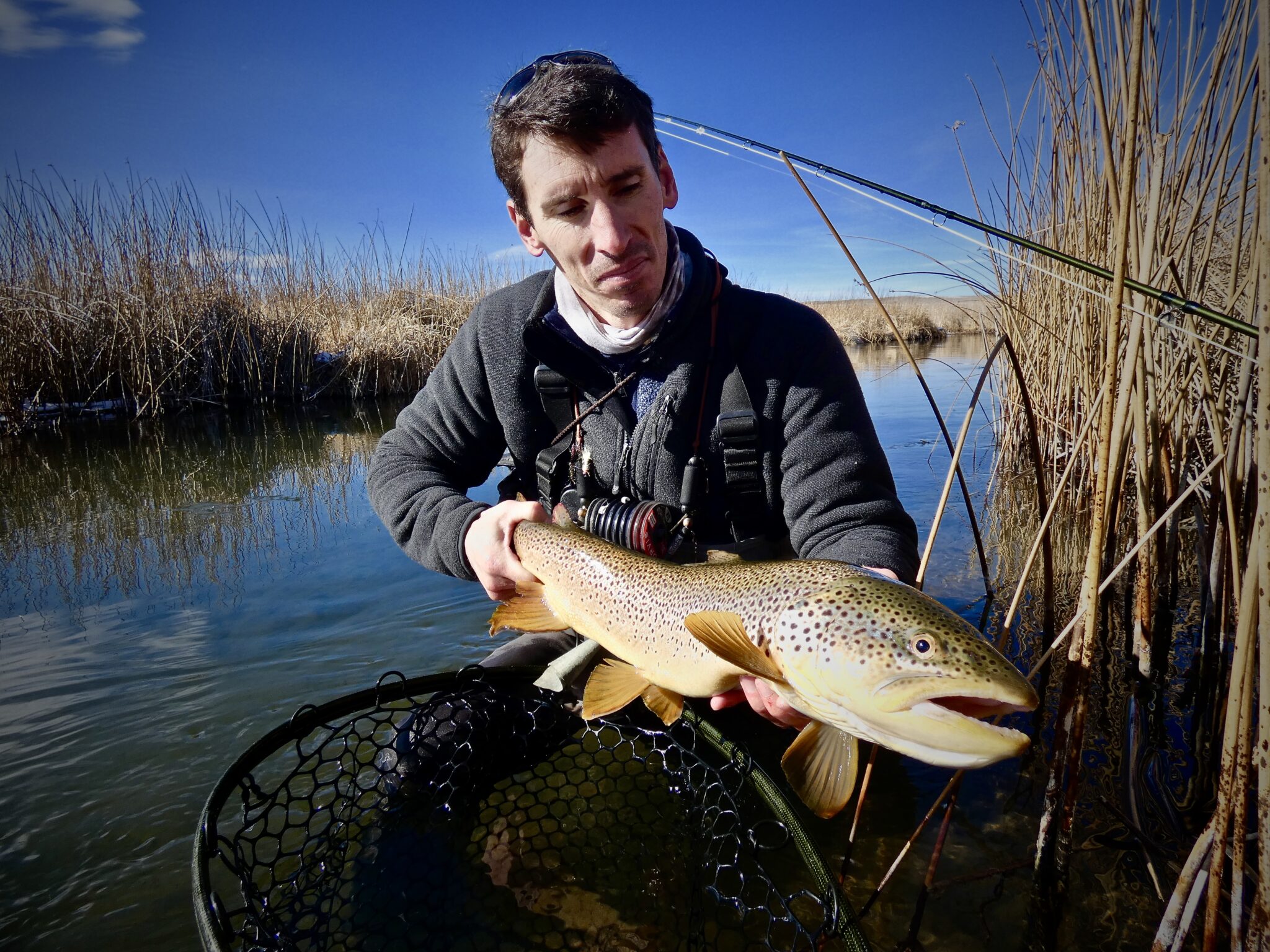Southern Utah Fly Fishing ( Bicknell Bottoms) The Quiet Fly Fisher