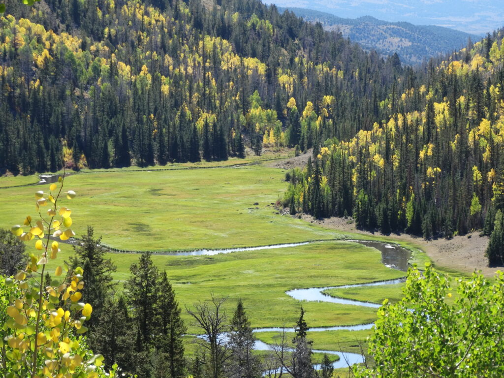 Services – The Quiet Fly Fisher :: Southern Utah Fly Fishing :: Guide  Service and Fly Shop